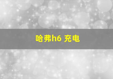 哈弗h6 充电